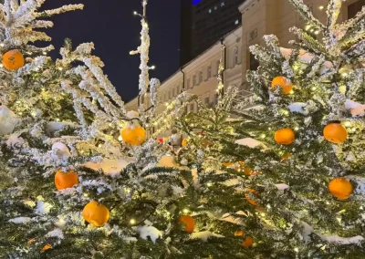 Экскурсионный тур выходного дня работников ОАО «Трест №16, г.Новополоцк» в г.Москва 15-18.01.2026