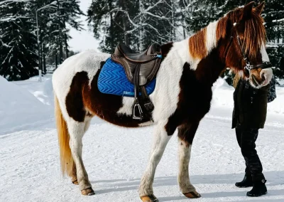 День здоровья 15 февраля 2026: Мороз, Солнце и Зимние Радости!