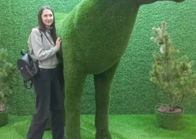 Выходные с пользой